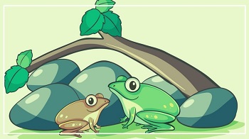 İki Kurbağa (Bir Japon Masalı) - Mahir Ulaş
Yeşil